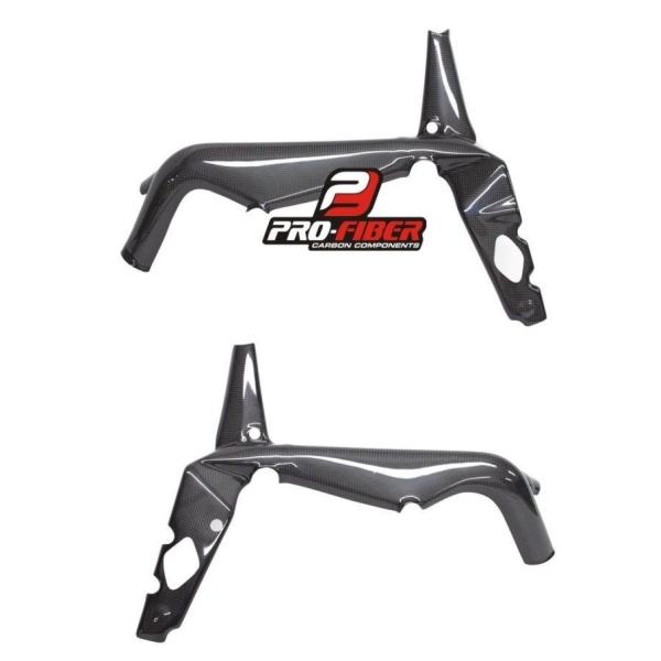 LighTeckカーボンフレームカバー トライアンフ デイトナ675 06-12 TRIUMPH DAYTONA 675R 06-12年 カーボンフレームカバー 左右