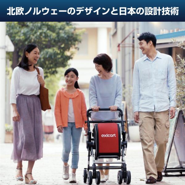 送料無料 シルバーカー おしゃれ ボックスタイプ エキシカート 感 お