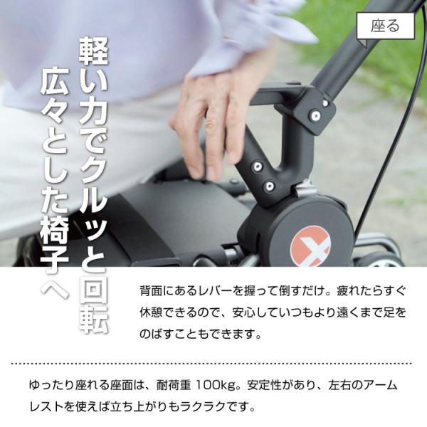 travelplus-jp_exicart_9