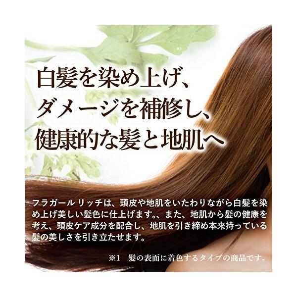 フラガール カラートリートメントリッチ 170g ダークブラウン Fakfakkab Go Id
