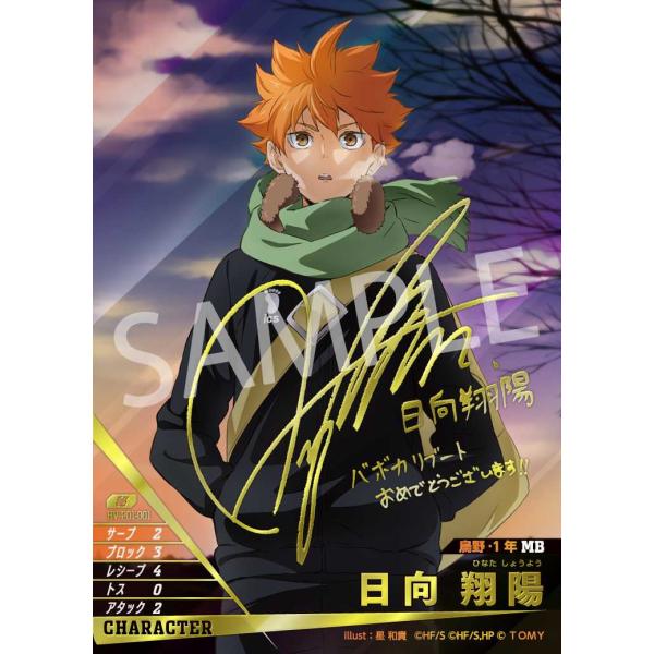 タカラトミー 日向 翔陽 秘 HV-P01-001 ハイキューバボカ : トレカ