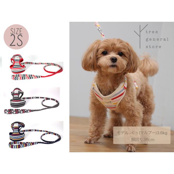 犬 ハーネスリード おしゃれ かわいい(マルチボーダーハーネス