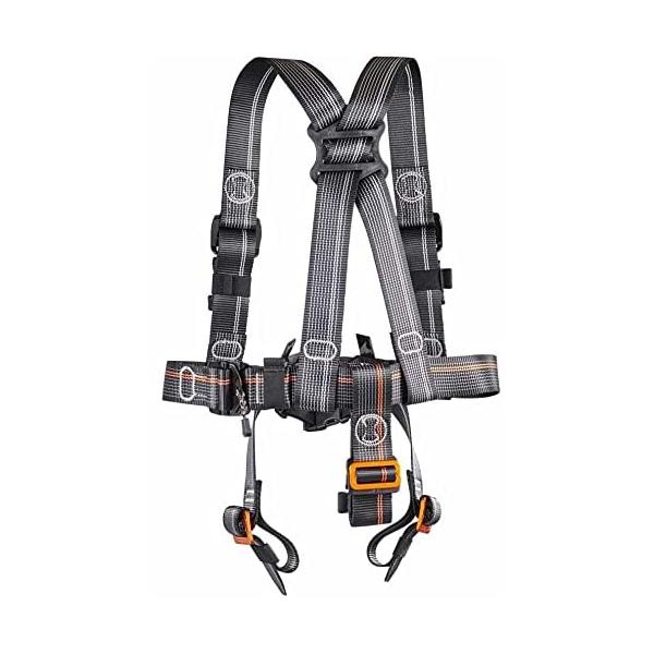 treegear-ys_r8-qtat-dal9 treegear-ys_r8-qtat-dal9