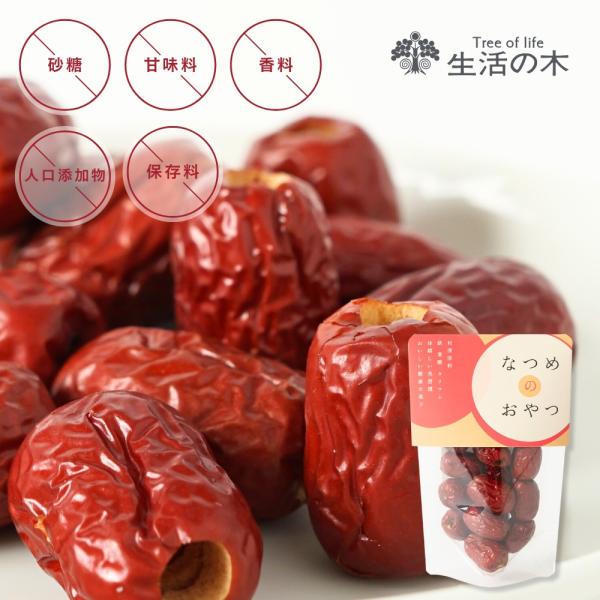 生活の木 公式 なつめのおやつ そのままなつめ 40g おやつ お茶うけ ドライフルーツ 紅棗