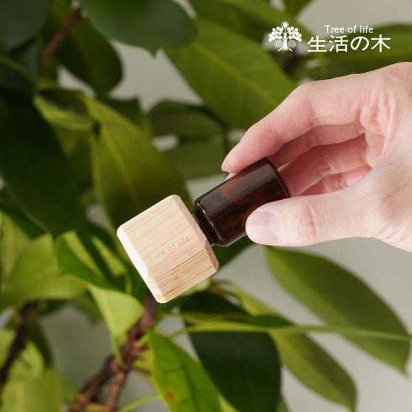 AYUSKAM エッセンシャルオイル 10ml 木製キャップ付き 生活の木 公式 Hinokiアロマキャップ 四角アロマ アロマオイル 精油