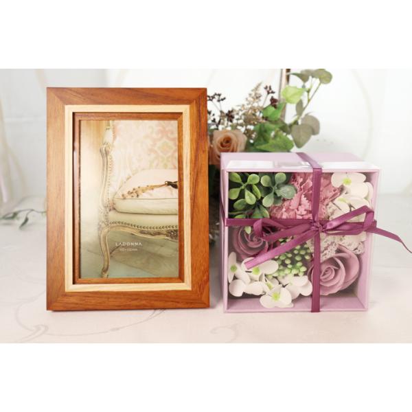 Mtg v[g  A Zbg \[vt[ {bNX &amp; tHgt[  ʐ^ AMtg vo