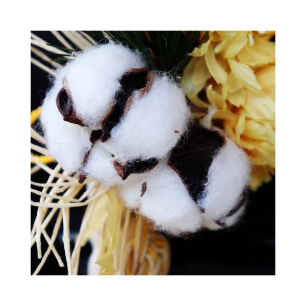 ߂ł RbgƏ̕Ǐ 32i  am ߓ [v[X ^bZ  hA   j