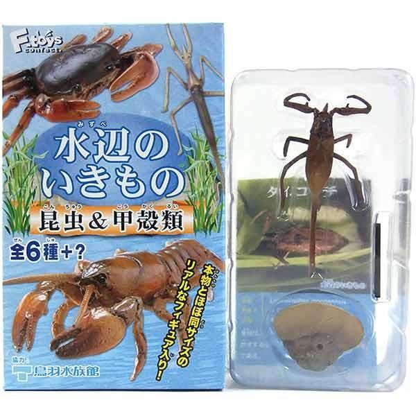 2】 エフトイズ 水辺のいきもの 昆虫＆甲穀類 タイコウチ(スタンド付き