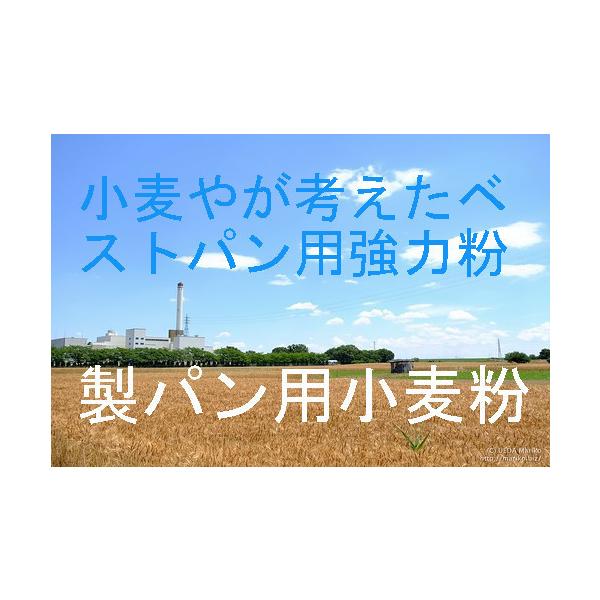 XlxXgpp͕X[p[xXg@3.0kg {iIɃpƂFlɁAĂ߂ɊJōppB