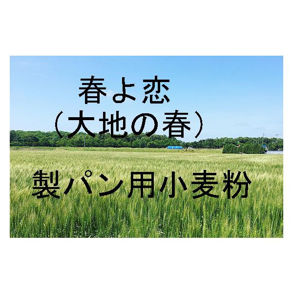 大地の春　春よ恋 3.0kg×２袋 6kg 　北海道産小麦として高い評価「大地の春　春よ恋」を100％使用した強力小麦粉です。奥本製粉製造100％。