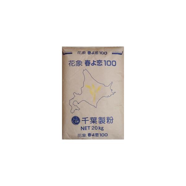 ԏ 20kg t100̃Xg[g@kCYƂč]󂯂Ă鏬100gp͏łB t100B