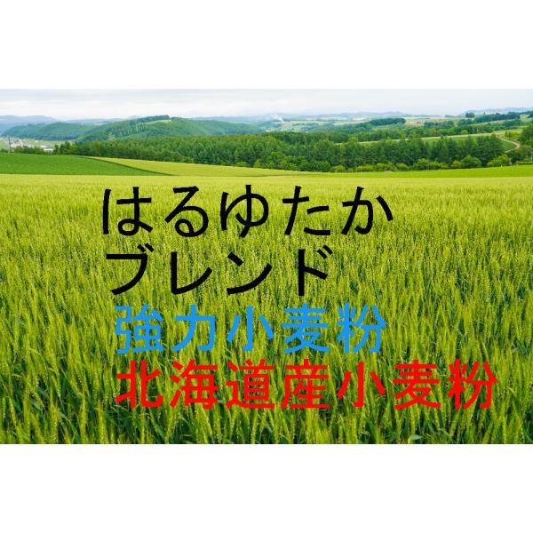 ͂䂽uh@3.0kg×Q 6kg  kCYƂč]󂯂Ă͂䂽100gp͏łB]ʐ100B