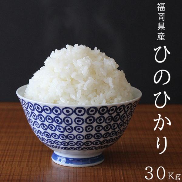 2021年最新入荷 高知県産ヒノヒカリ白米１５㌔ agapeeurope.org