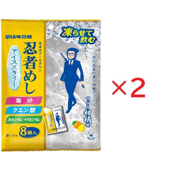 2個セット UHA味覚糖 忍者めし アイススラリー すっきり柑橘味 三条