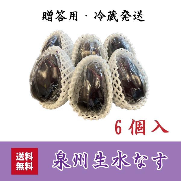 【次回10月頃の発送となります】その日採れた中で良い物だけを厳選しております。また、採取日が決まっておりますので多少お時間を頂きます。新鮮な商品をお届けいたします。大阪泉州地方産生鮮品のため到着予定日を前後する可能性があります。発送後はお早...