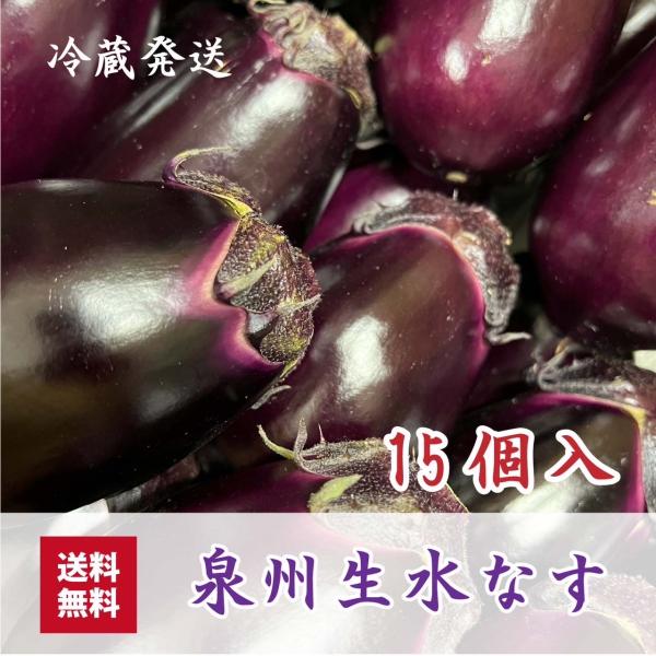 【次回10月頃の発送となります】その日採れた中で良い物だけを厳選しております。また、採取日が決まっておりますので多少お時間を頂きます。新鮮な商品をお届けいたします。大阪泉州地方産生鮮品のため到着予定日を前後する可能性があります。発送後はお早...