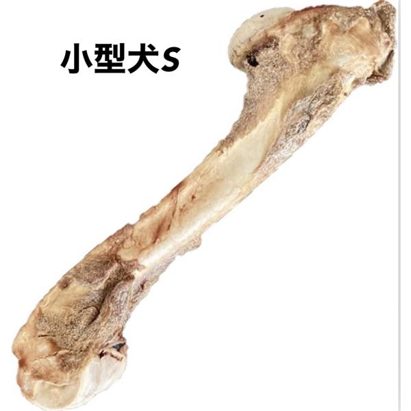 ペットフード研究所 【 国産 無添加 】 小型犬 中型犬 大型犬 鹿レッグボーン 足骨 グルテンフリー 鹿骨 犬のおやつ 犬用 （小型犬S）