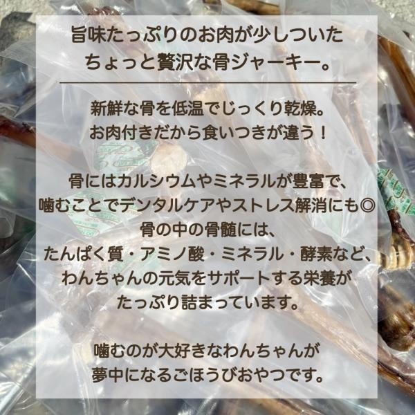 �y�b�g�t�[�h������ �y ���Y ���Y�� �z ���^�� ���^�� ��^�� �����b�O�{�[�� ���� �O���e���t���[ ���� ���̂���� ���p (��^��XL) ���i�摜2