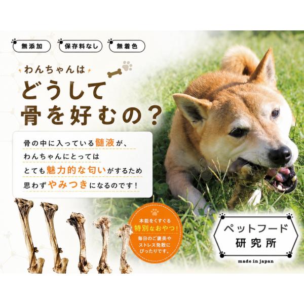 �y�b�g�t�[�h������ �y ���Y ���Y�� �z ���^�� ���^�� ��^�� �����b�O�{�[�� ���� �O���e���t���[ ���� ���̂���� ���p (��^��XL) ���i�摜3