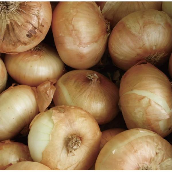 大きさに多少のバラツキはございますので、予めご了承ください。一つずつ丁寧に検品したお野菜をお届けさせて頂いております。