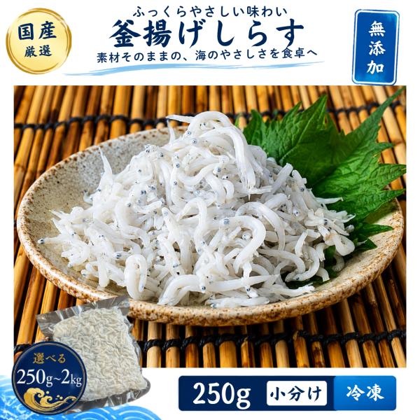 【無添加・無漂白】釜揚げしらす 250g 小分け 冷凍 国産 シラス しらす干し ご飯のお供 海鮮 まとめ買い お取り寄せ お試し250g