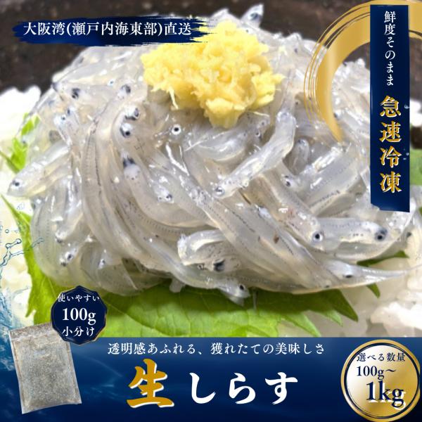 【鮮度抜群】生しらす 小分け 100g 冷凍 刺身 生しらす丼 海鮮 国産 お取り寄せグルメ お試し200g(100gx2)