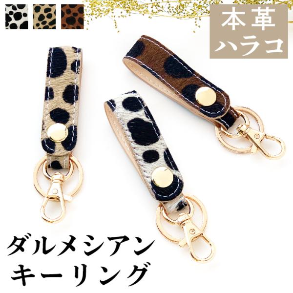 _VA {v L[O fB[X Y L[z_[ iXJ {vL[O Xibv{^ v xg  JM j  Aj}