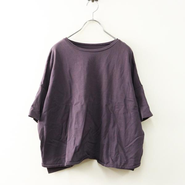 Pal'las Palace ドット プルオーバーブラウス Pal'las Palace（パラスパレス） コットンワイドプルオーバー 0