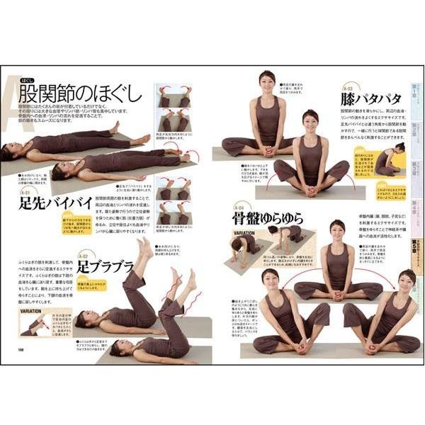 書籍 見るみるわかる 骨盤ナビ 骨盤 矯正 エクササイズ ダイエット やり方 解説 ポスター Buyee Buyee Japanese Proxy Service Buy From Japan Bot Online