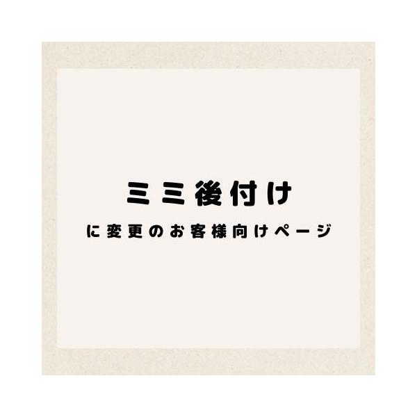 triplea-store_crbsep2