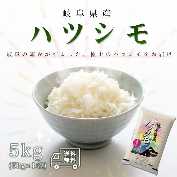 ハツシモ 米 お米 5kg 岐阜県産 はつしも 白米 5キロ 令和7年産 5kg×1