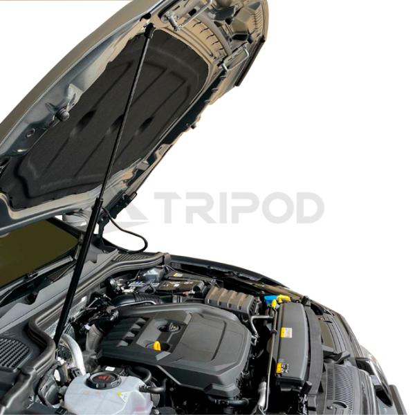 tripod_co-bnd-y