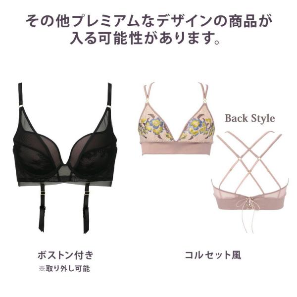 福袋 レディース 下着 ブラジャー トリンプ Triumph Web限定ブラジャー単品3点入り福袋 Happybag Buyee Buyee Japanese Proxy Service Buy From Japan Bot Online