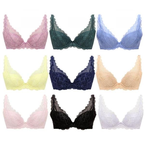 アウトレットセール トリンプ Paypayモール店 通販 Paypayモール