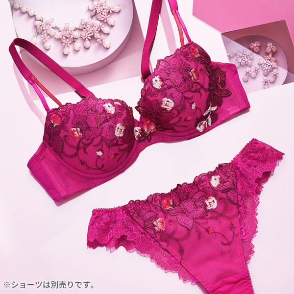 Triumph（トリンプ） セール(トリンプ)Triumph レッドレーベル バイ