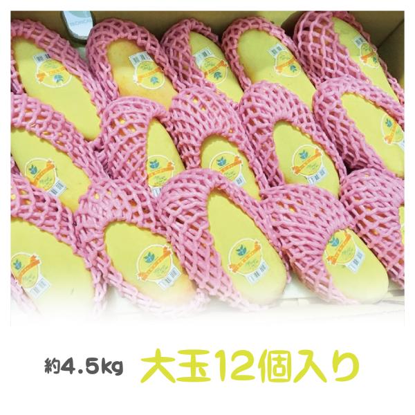 tropical-stream1_104