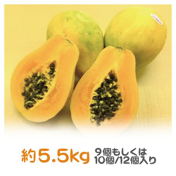 [Release date: March 1, 2024]樹上熟成コントロールをした、甘くて柔らかいプレミアムなパパイヤです！なめらかな舌触りでとても美味しいです。パパイヤには各種ビタミンが豊富に含まれており、特に優秀なのはビタミンCとビタ...