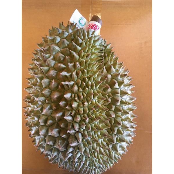 タイ産ドリアン Lサイズ 約2.5kg〜3.0kg 3玉入り（モントーン種