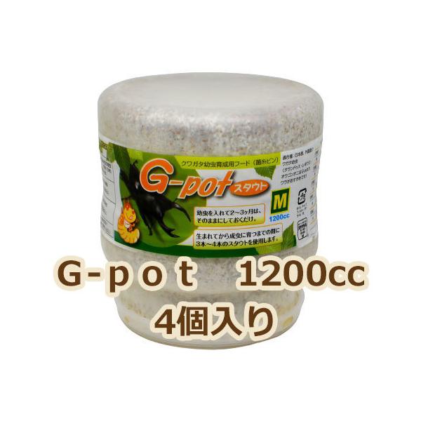 国産オオクワガタ８３ミリを筆頭に数々の羽化実績を誇る信頼の菌糸ビンです。幼虫の重さが１５ｇ以上あったら、迷わずスタウト１２００ccへ入れましょう！オオクワガタの♂なら８０mmの大型でも蛹化・羽化させることができる太さです！