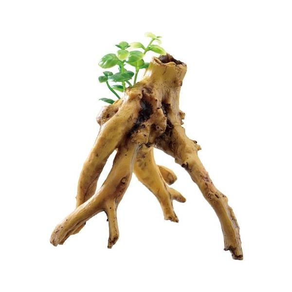 fdw@i t؁@u`@lHANZT[