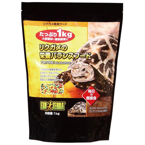 fdw@GL]e@NK̉h{oXt[h@Pkg