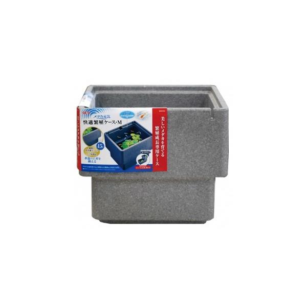 fdw@_JC KɐBP[X l@yMыEANAE/EANAE/z