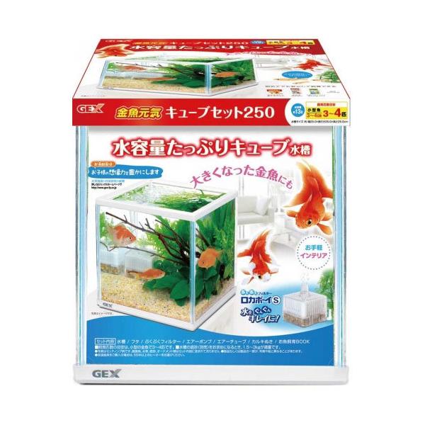 水槽 25 キューブの人気商品・通販・価格比較 - 価格.com 水槽 25 キューブの人気商品・通販・価格比較 - 価格.com