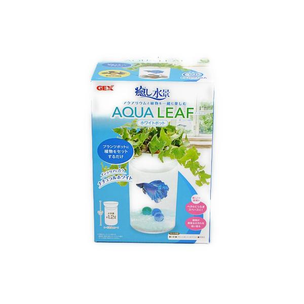 在庫処分 ｇｅｘ 癒し水景 アクアリーフ ホワイトポット 熱帯魚 アクアリウム 水槽 アクアリウム 水槽セット Gexss15 トロピカルワールド ヤフー店 通販 Yahoo ショッピング