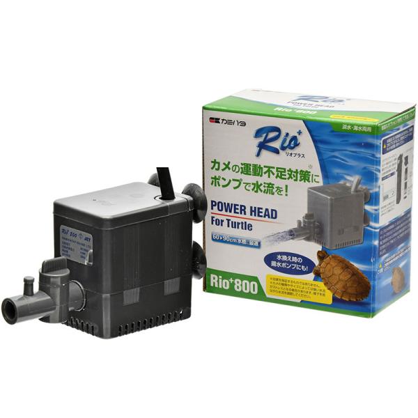 飼育水槽内に水流を作り、水を循環させます。適度な水流が水棲ガメの運動不足対策に！