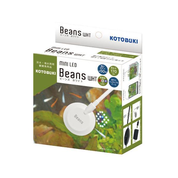 RguL@~jkdc@r[Y@zCg@Beans@25cmȉE^pLEDCg