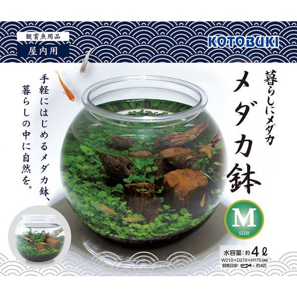 コトブキ　暮らしにメダカ　メダカ鉢Ｍ　樹脂製メダカ鉢