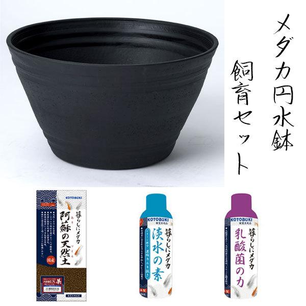 在庫処分　コトブキ　メダカ円水鉢飼育セット