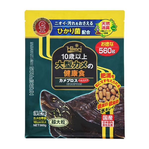 L[@JvX@wXPA@560g@10Έȏ^J̌NH@㐫E嗱