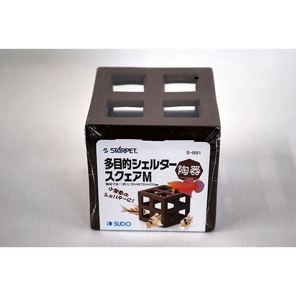 Xh[@퐻ړIVF^[@XNGA@l